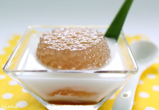 Palm sugar syrup dessert